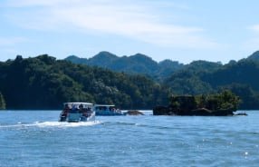 Boat Tour to Los Haitises National  Park from Samana port.